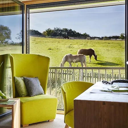 Hotel Steinbergs Wildewiese Naturhotel