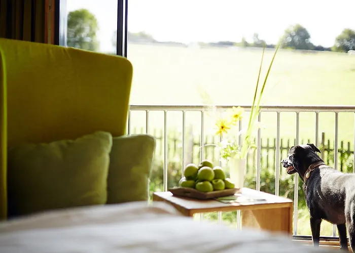 فندق Steinbergs Naturhotel